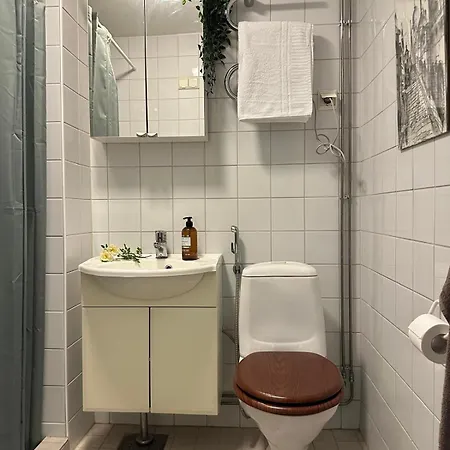 Mysiga 21 An マリエハムン